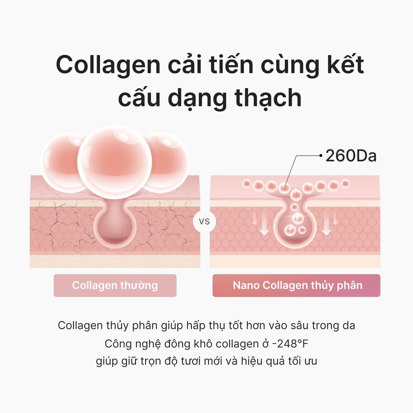 Collagen Niacinamide Jelly Cream 50ml
